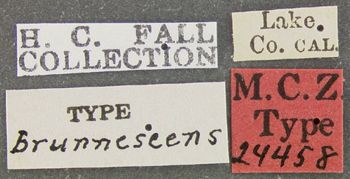 Media type: image;   Entomology 24458 Aspect: labels